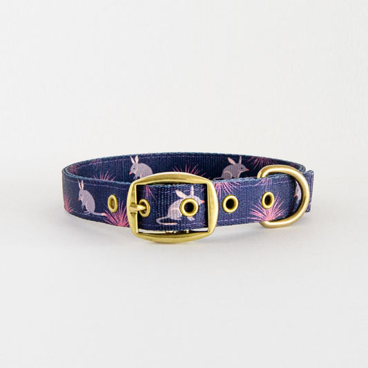Anipal Billie the Bilby Dog Collar